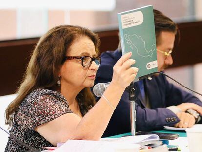 Ivonne Cisneros, diputada de Morena, al aprobar la iniciativa, el 15 de abril.