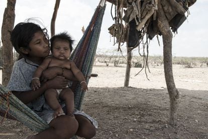 María Clara es uno de los primeros bebés wayúu nacido desde el retorno de su comunidad a Bahía Portete, en Colombia, de donde fueron expulsados a la fuerza hace 11 años por terratenientes.