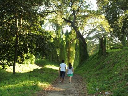 Una pareja camina por el Parque Almendares.