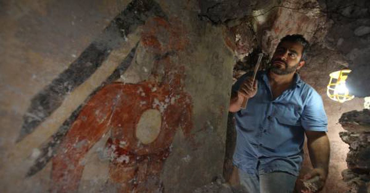 ILTM Americas: William Saturno: “Los mayas aún guardan secretos” | Ciencia  | EL PAÍS