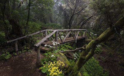 Puente en la ruta senderista de La Llanía, en El Hierro.