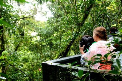 El Bosque Nuboso de Monteverde, en las faldas del Volcán Arenal, tiene una moda reciente: la tirolina y los recorridos aéreos de árbol en árbol por el dosel de la jungla. Pero también cuenta con puntos de observación desde los que contemplar cómo la niebla se arremolina con la luz postrera del crepúsculo.