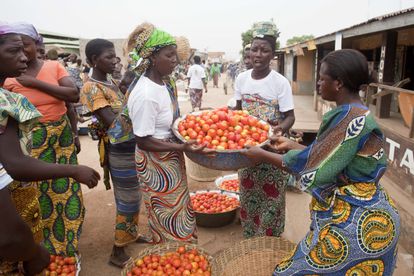 Un grupo de vendedoras de tomates en el mercado principal de Dapaong, en Togo.