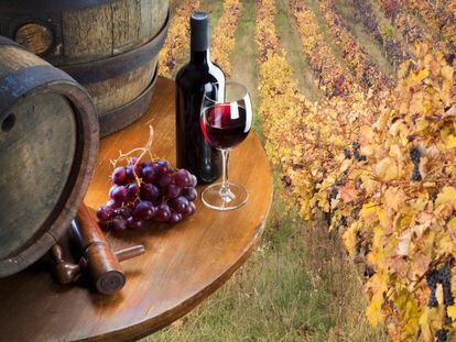 Los problemas de las pymes del vino para exportar