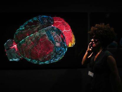 Una mujer visita la muestra 'Cerebro(s)' del Centro de Cultura Contemporánea de Barcelona (CCCB).