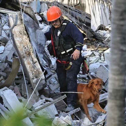 Fire rescue personnel conduct a search and rescue with dogs through the rubble of the Champlain Towers South Condo after the multistory building partially collapsed in Surfside, Fla., Thursday, June 24, 2021.  (David Santiago/Miami Herald via AP)