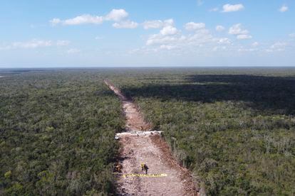 Vista aérea de la deforestación en la selva por las obras del Tren Maya a la altura de Playa del Carmen, Quintana Roo, en marzo pasado.