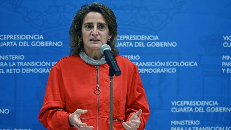 Teresa Ribera, ministra para la Transición Ecológica, durante una rueda de prensa.