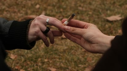Dos jóvenes se pasan un porro en un parque de Madrid. / KIKE PARA