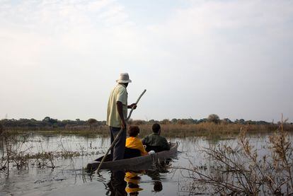 Las aguas del delta del Okavango se recorren en canoas de madera conocidad como 'mokoro'. Una excursión ideal para conocer la vegetación de los ríos africanos y las aves acuáticas
