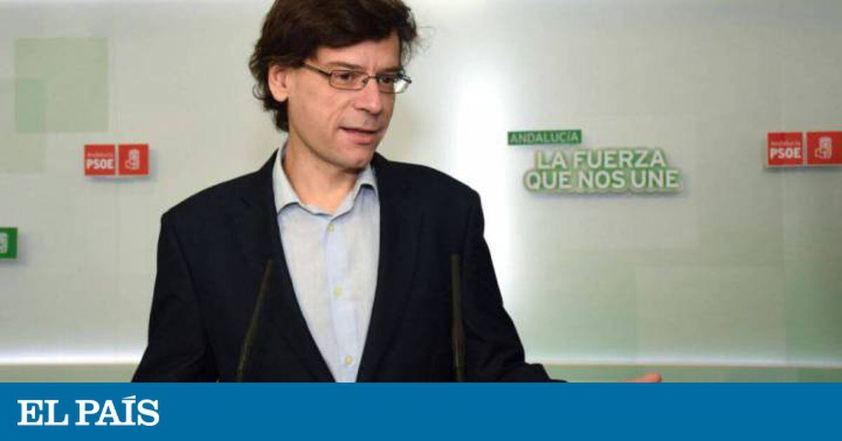 El Tribunal Superior Andaluz Archiva El Caso Del Diputado Acusado De ...