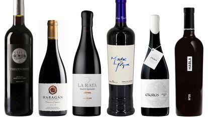 Seis vinos tintos extremeños, competitivos y con el sello de grandes viticultores