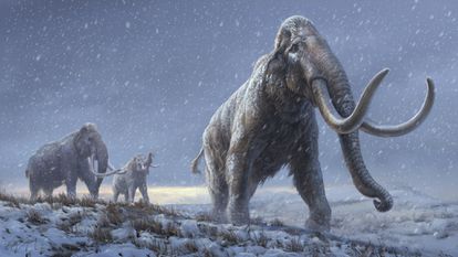 Ilustración de los mamuts esteparios.