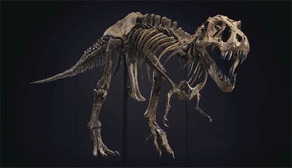 Stan, uno de los esqueletos de T-Rex más completos jamás encontrados, obtuvo un récord de 31,8 millones de dólares en la venta de arte del siglo XX de Christie's.