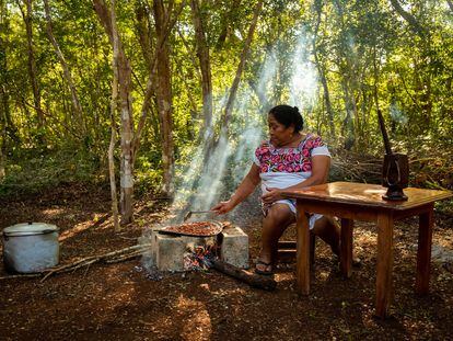 La voz cacao para nombrar al árbol y su semilla deriva del maya 'kakaw', pero fue nahuatlizada con la adición del sufijo –atl. En la imagen, Leonila Nahuat Tun tuesta las semillas de cacao para la celebración del día de los muertos en la comunidad Xocén, en Yucatán, en 2021.