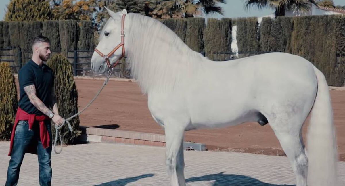 ¿Cuánto cuesta el mejor caballo de Sergio Ramos