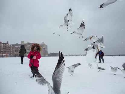 Children play in the snow during a winter storm at Brighton Beach, New York, U.S., February 1, 2021. REUTERS/Ahmed Gaber NO RESALES. NO ARCHIVES.