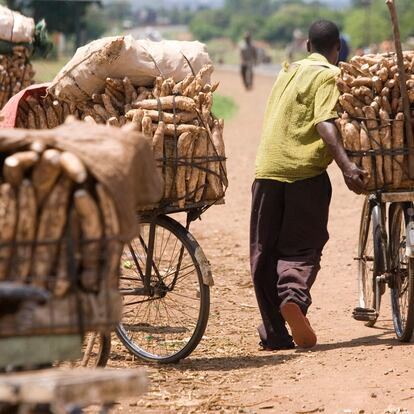 Un vendedor de yuca en Lilongwe, Malaui, en una foto de archivo.