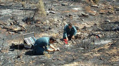 Miembros del Seprona (Guardia Civil) analizando un incendio para averiguar el origen y las causas del mismo.