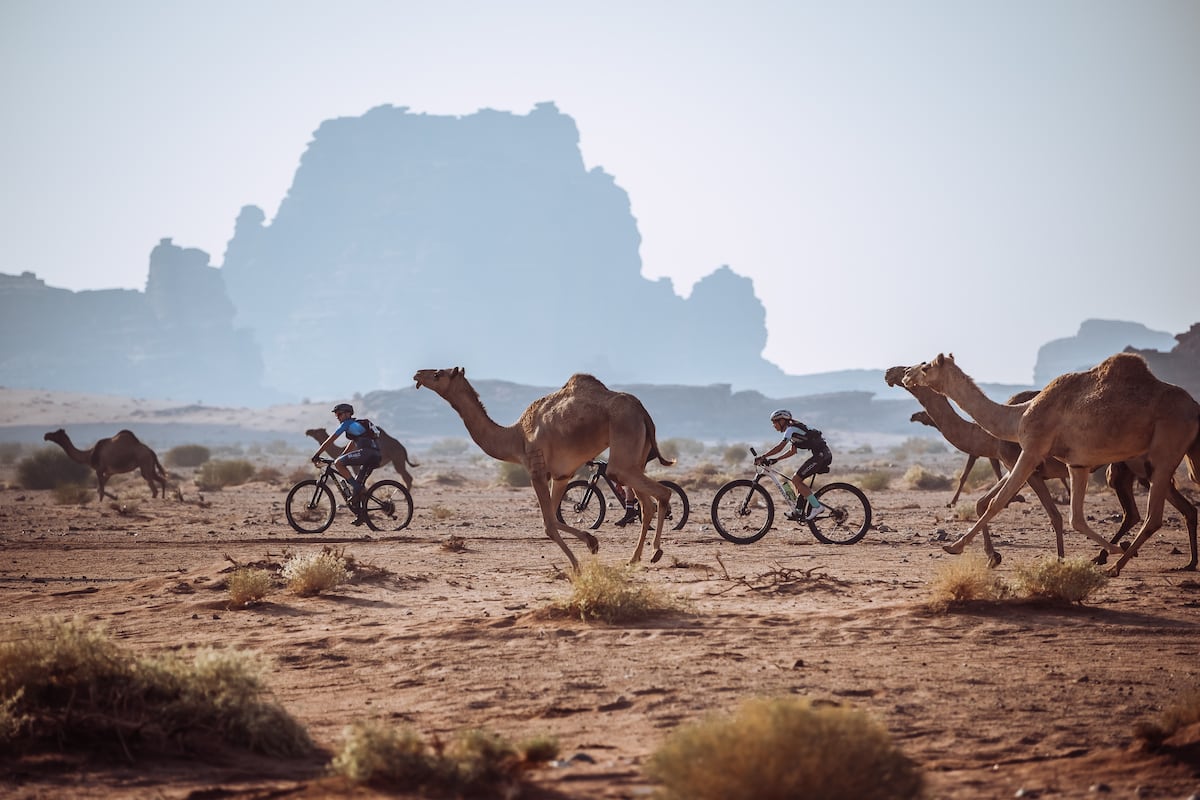 Titan Desert: Cuando el ciclista retirado se niega a que le quiten el dorsal y se pelea en mountain bike por el desierto saudí | Ciclismo | Deportes
