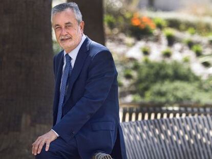 Jos&eacute; Antonio Gri&ntilde;&aacute;n, en los jardines del Palacio de San Telmo. / garc&iacute;a cordero