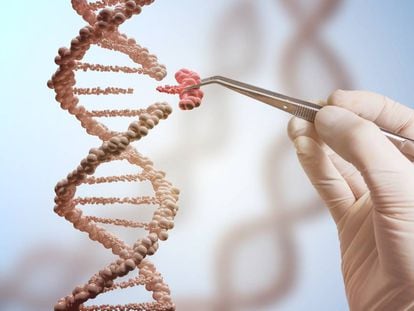 La técnica CRISPR permite reemplazar trozos de ADN.