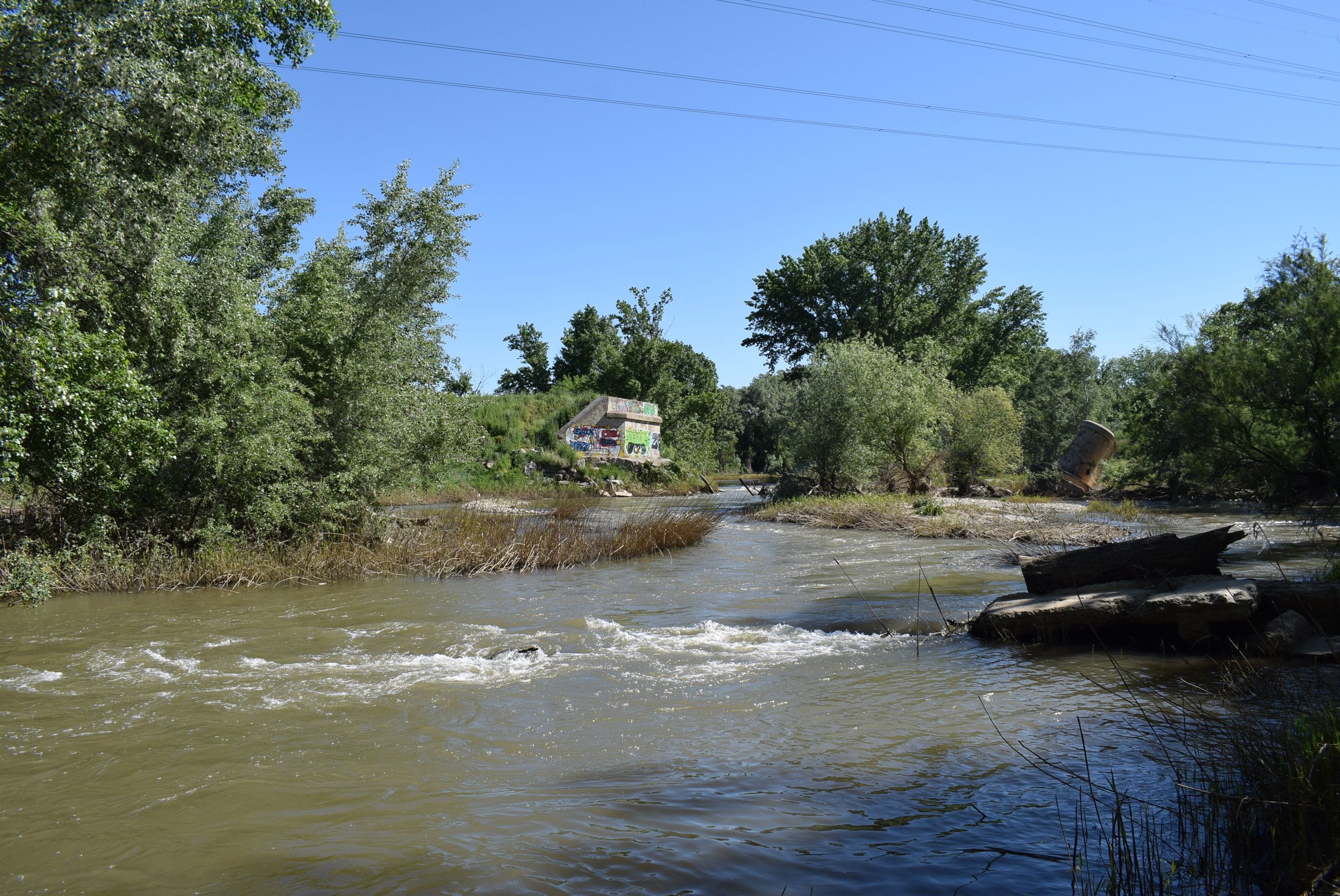 ¿Por qué Amazon va a construir un puente sobre el río Henares en Madrid? Las claves del proyecto verde