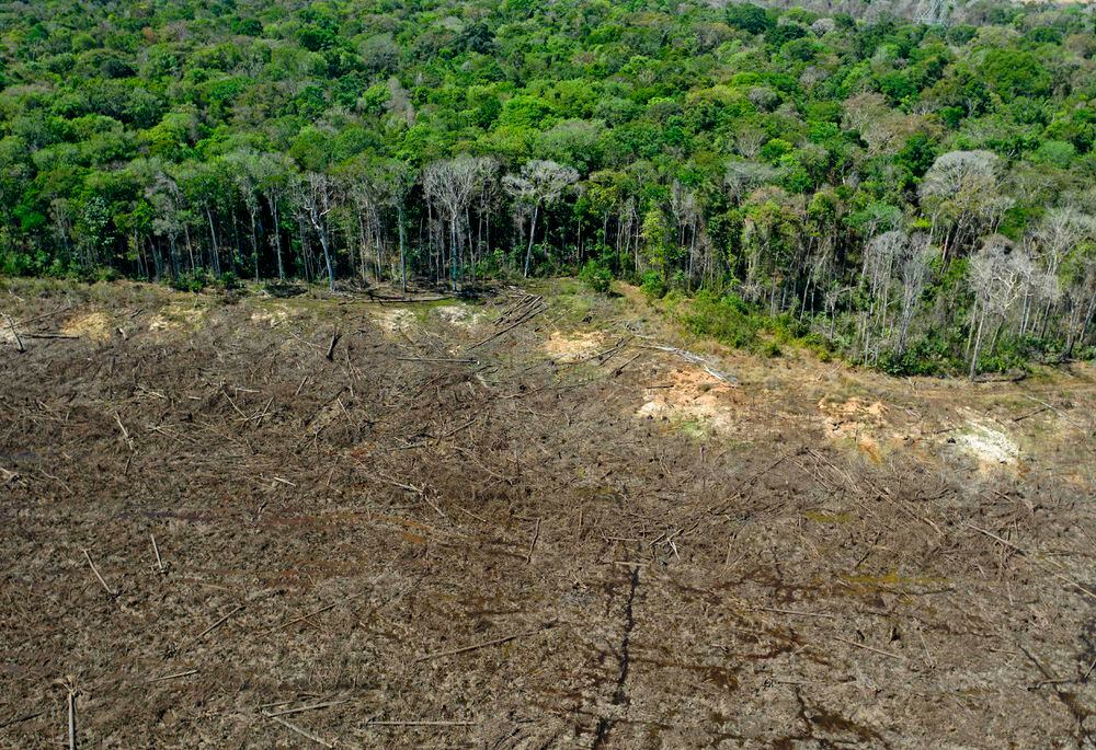 Amazonia brasileña: cada vez menos inspectores ambientales para un territorio más grande que toda la UE