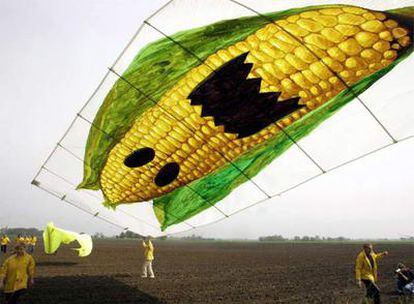 Protesta de activistas de Greenpeace en Seelow (Alemania) contra el cultivo de maíz transgénico.