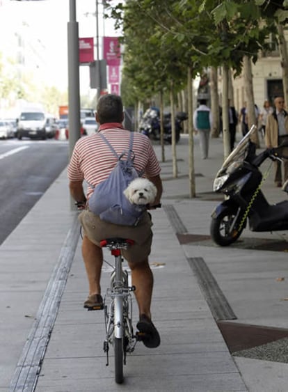 Paseo en bicicleta por una calle de Madrid transportando un perro en mochila