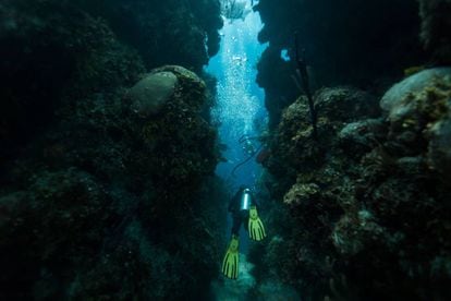 Un submarinista atraviesa un tunel en las profundidades del Gran Agujero Azul, en Belice.