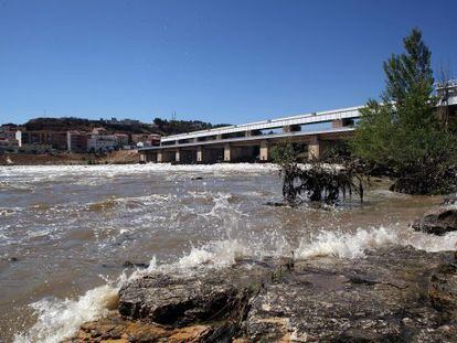 Vista del Ebro a la altura del pantano de Flix (Tarragona)