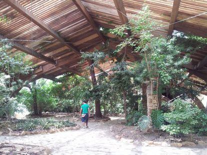 El reabierto Jardín Americano, con 12 ejemplares considerados ‘monumentos botánicos’.