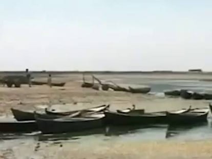 Guerras del agua