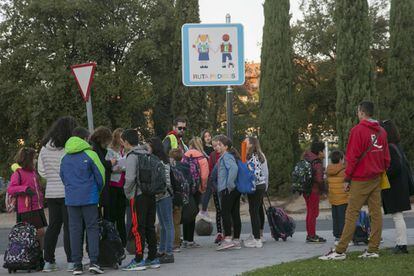 Escolares se reúnen en la parada del Pedibús de Torrelodones (Madrid)