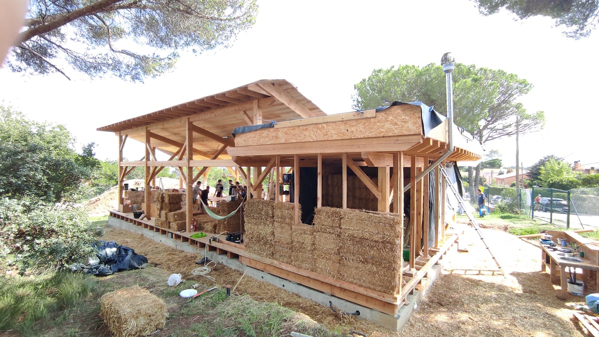 De la paja y el cáñamo a los hongos: se buscan materiales naturales para construir casas |  Comerciantes