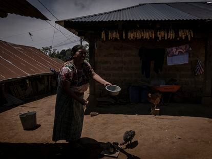 Juana alimenta a sus gallinas, en su hogar en la aldea de Tuilelen, en Comitancillo, Guatemala, el 2 de mayo de 2022.