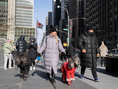 Una mujer pasea a sus dos perros, que lucen sendos abrigos, el 24 de diciembre en Nueva York.