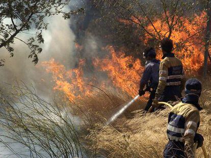 Ayudantes forestales luchando contra un incendio en Girona en 2006.