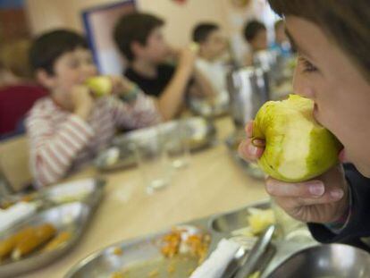 Terrassa suspende la adjudicación a Serhs de los comedores escolares