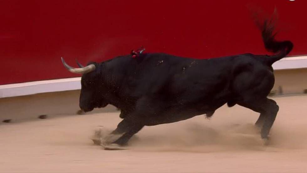 El toro 'Brujito', de La Palmosilla, el más encastado de la feria de San Fermín.