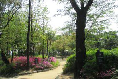 Un parque en Seúl.