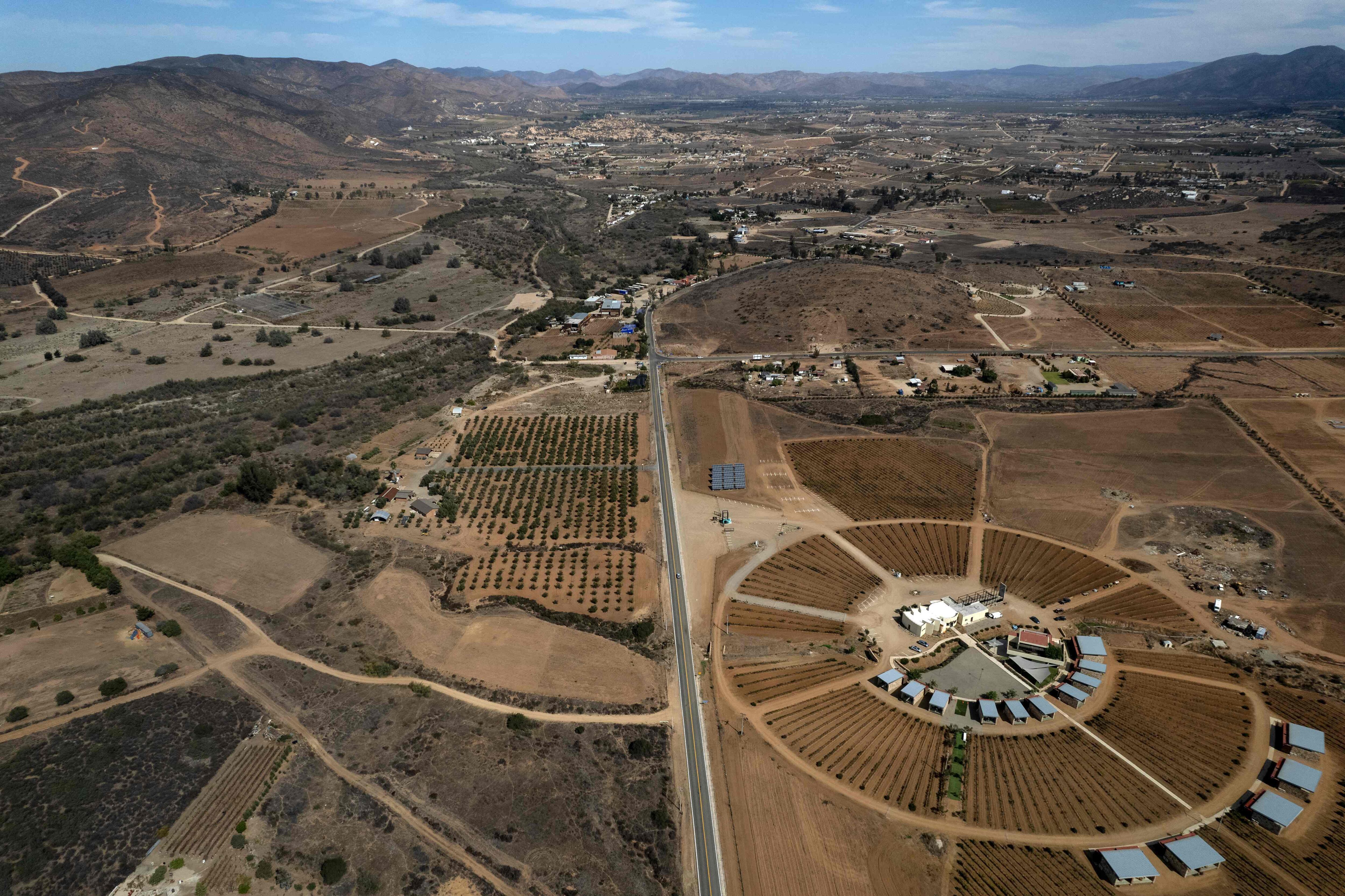 Viñedos en el Valle de Guadalupe (Baja California), en octubre de 2022.
