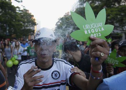 Un hombre celebra la regulaci&oacute;n de la marihuana en Uruguay.