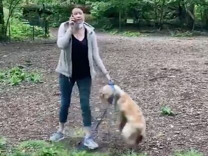 Amy Cooper sostiene a su perro por el collar mientras denuncia a los servicios de emergencia una falsa amenaza de un hombre afroamericano. En vídeo, la secuencia completa de los hechos.