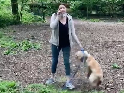 Amy Cooper sostiene a su perro por el collar mientras denuncia a los servicios de emergencia una falsa amenaza de un hombre afroamericano. En vídeo, la secuencia completa de los hechos.