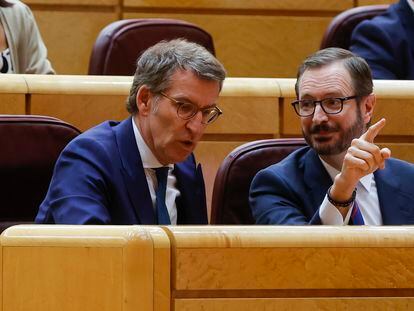 Alberto Núñez Feijóo y Javier Maroto, este miércoles en el Senado.