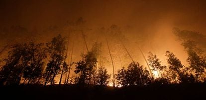 Un bosque cercano a Vigo en llamas, el pasado domingo.
