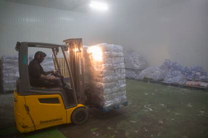 Un trabajador trasladaba la semana pasada un palé de bolsas de hielo en la fábrica de hielo Hocosol de Málaga.