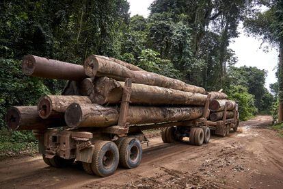 Un camión de gran tonelaje transporta madera a través de una pista limítrofe con el Territorio Indígena Maró.